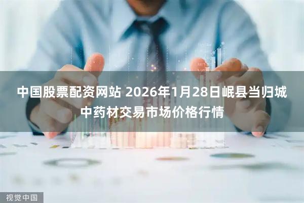 中国股票配资网站 2026年1月28日岷县当归城中药材交易市场价格行情