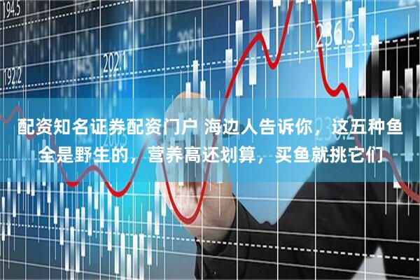 配资知名证券配资门户 海边人告诉你，这五种鱼全是野生的，营养高还划算，买鱼就挑它们